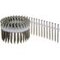 Spanplattenschraube Drilltec Z ES HH Gurt, gegurtete Spanplattenschrauben, gegurtete Spanplatten-Schrauben SPS